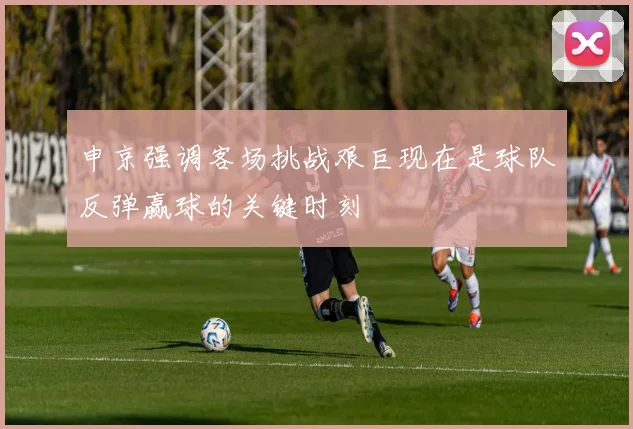 申京强调客场挑战艰巨现在是球队反弹赢球的关键时刻