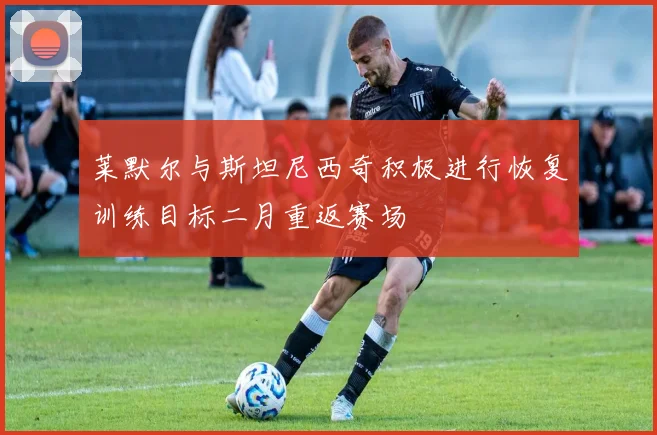 莱默尔与斯坦尼西奇积极进行恢复训练目标二月重返赛场